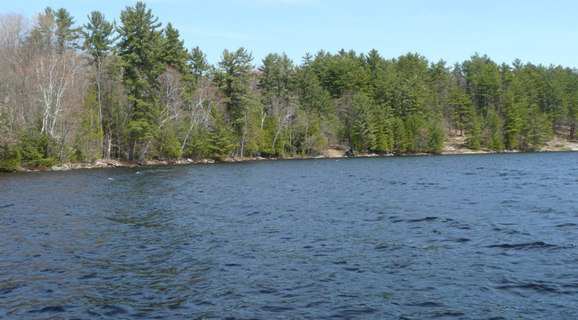 Van Clief Lake of Bays 10