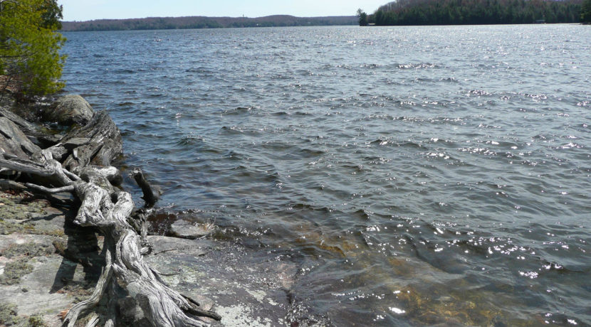 Van Clief Lake of Bays 11