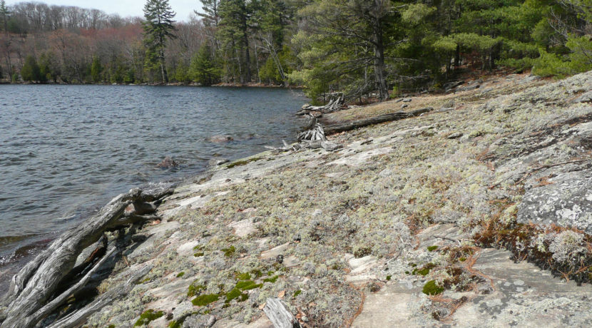 Van Clief Lake of Bays 12