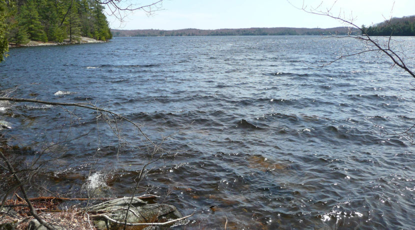 Van Clief Lake of Bays 8
