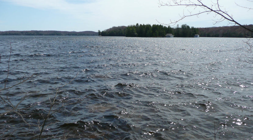 Van Clief Lake of Bays 9
