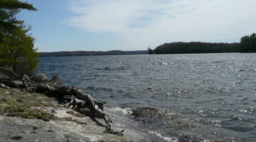 Vanclieaf Rd Lake of Bays image7
