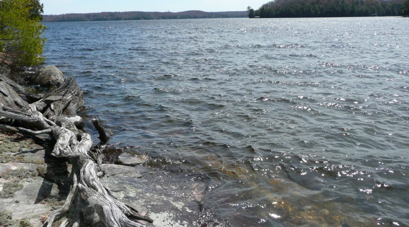 Vanclieaf rd Baysville image10