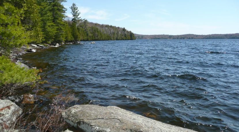 Vanclieaf rd Baysville image3