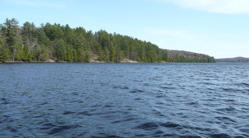 Vanclieaf rd Baysville image7
