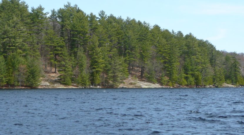 Vanclieaf rd Baysville image8