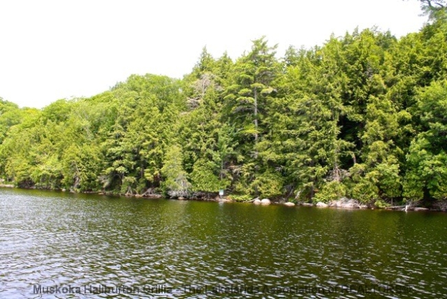 PR14-Image2