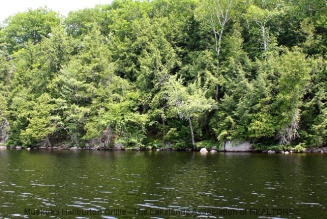 PR14-Image7