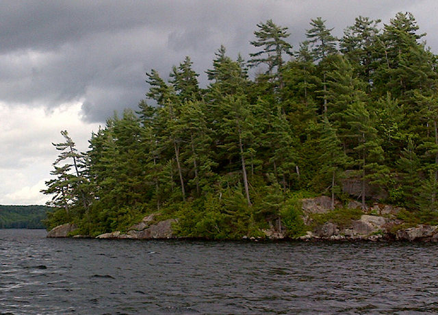 PR32-Image1