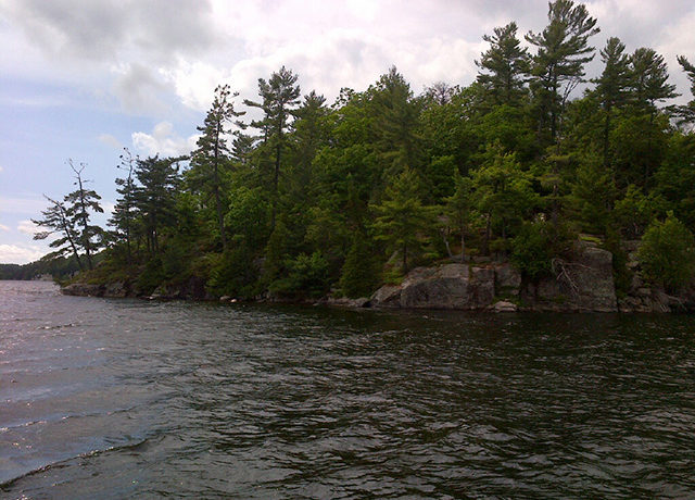 PR32-Image2