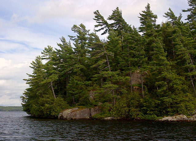 PR32-Image7