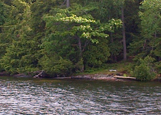 PR32-Image8