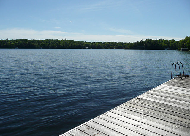 PR33-image1