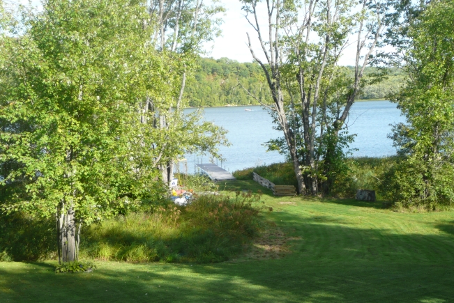PR7-Image2