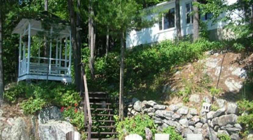 Ellison 2