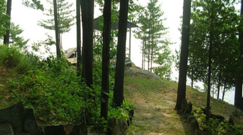 Ellison 9
